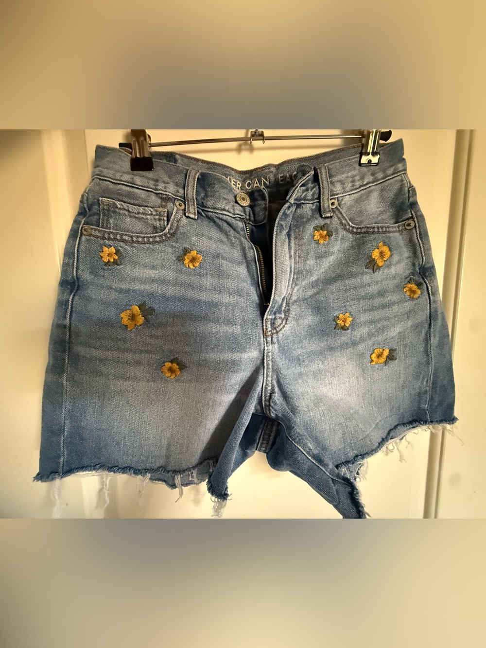 American Eagle Outfitters Blue Denim with Embroidered Flowers